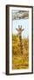 Awesome South Africa Collection Panoramic - Curious Giraffe with Yellow Savanna II-Philippe Hugonnard-Framed Photographic Print