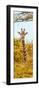 Awesome South Africa Collection Panoramic - Curious Giraffe with Yellow Savanna II-Philippe Hugonnard-Framed Photographic Print