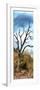 Awesome South Africa Collection Panoramic - Dark Tree II-Philippe Hugonnard-Framed Photographic Print