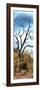 Awesome South Africa Collection Panoramic - Dark Tree II-Philippe Hugonnard-Framed Photographic Print