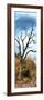 Awesome South Africa Collection Panoramic - Dark Tree II-Philippe Hugonnard-Framed Photographic Print