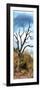 Awesome South Africa Collection Panoramic - Dark Tree II-Philippe Hugonnard-Framed Photographic Print