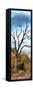 Awesome South Africa Collection Panoramic - Dark Tree II-Philippe Hugonnard-Framed Stretched Canvas