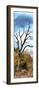 Awesome South Africa Collection Panoramic - Dark Tree II-Philippe Hugonnard-Framed Photographic Print