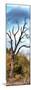 Awesome South Africa Collection Panoramic - Dark Tree II-Philippe Hugonnard-Mounted Photographic Print