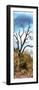 Awesome South Africa Collection Panoramic - Dark Tree II-Philippe Hugonnard-Framed Premium Photographic Print