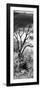 Awesome South Africa Collection Panoramic - Dark Tree-Philippe Hugonnard-Framed Photographic Print