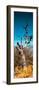 Awesome South Africa Collection Panoramic - Dead Tree II-Philippe Hugonnard-Framed Premium Photographic Print