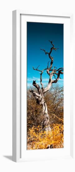 Awesome South Africa Collection Panoramic - Dead Tree II-Philippe Hugonnard-Framed Photographic Print
