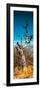 Awesome South Africa Collection Panoramic - Dead Tree II-Philippe Hugonnard-Framed Photographic Print