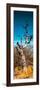 Awesome South Africa Collection Panoramic - Dead Tree II-Philippe Hugonnard-Framed Photographic Print