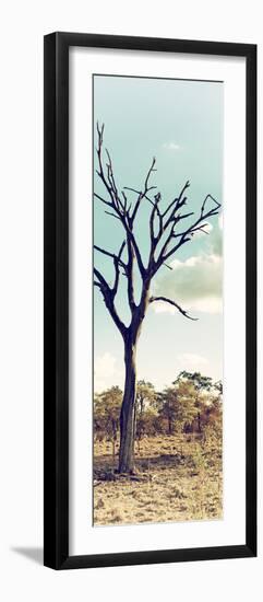 Awesome South Africa Collection Panoramic - Dead Tree in the Savannah II-Philippe Hugonnard-Framed Photographic Print