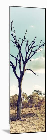 Awesome South Africa Collection Panoramic - Dead Tree in the Savannah II-Philippe Hugonnard-Mounted Photographic Print