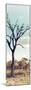 Awesome South Africa Collection Panoramic - Dead Tree in the Savannah II-Philippe Hugonnard-Mounted Photographic Print