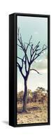 Awesome South Africa Collection Panoramic - Dead Tree in the Savannah II-Philippe Hugonnard-Framed Stretched Canvas