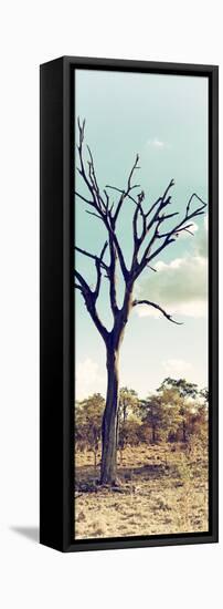 Awesome South Africa Collection Panoramic - Dead Tree in the Savannah II-Philippe Hugonnard-Framed Stretched Canvas