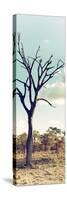 Awesome South Africa Collection Panoramic - Dead Tree in the Savannah II-Philippe Hugonnard-Stretched Canvas