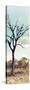 Awesome South Africa Collection Panoramic - Dead Tree in the Savannah II-Philippe Hugonnard-Stretched Canvas