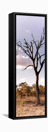 Awesome South Africa Collection Panoramic - Dead Tree in the Savannah-Philippe Hugonnard-Framed Stretched Canvas