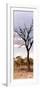 Awesome South Africa Collection Panoramic - Dead Tree in the Savannah-Philippe Hugonnard-Framed Photographic Print