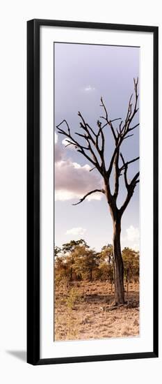 Awesome South Africa Collection Panoramic - Dead Tree in the Savannah-Philippe Hugonnard-Framed Photographic Print