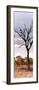 Awesome South Africa Collection Panoramic - Dead Tree in the Savannah-Philippe Hugonnard-Framed Photographic Print