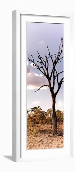 Awesome South Africa Collection Panoramic - Dead Tree in the Savannah-Philippe Hugonnard-Framed Photographic Print