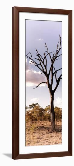 Awesome South Africa Collection Panoramic - Dead Tree in the Savannah-Philippe Hugonnard-Framed Photographic Print