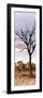 Awesome South Africa Collection Panoramic - Dead Tree in the Savannah-Philippe Hugonnard-Framed Photographic Print