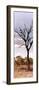 Awesome South Africa Collection Panoramic - Dead Tree in the Savannah-Philippe Hugonnard-Framed Premium Photographic Print