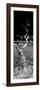 Awesome South Africa Collection Panoramic - Dead Tree-Philippe Hugonnard-Framed Photographic Print