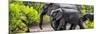 Awesome South Africa Collection Panoramic - Elephant Family-Philippe Hugonnard-Mounted Photographic Print