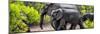 Awesome South Africa Collection Panoramic - Elephant Family-Philippe Hugonnard-Mounted Photographic Print