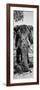 Awesome South Africa Collection Panoramic - Elephant Portrait B&W-Philippe Hugonnard-Framed Photographic Print