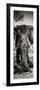 Awesome South Africa Collection Panoramic - Elephant Portrait II-Philippe Hugonnard-Framed Photographic Print