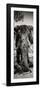 Awesome South Africa Collection Panoramic - Elephant Portrait II-Philippe Hugonnard-Framed Photographic Print