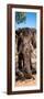 Awesome South Africa Collection Panoramic - Elephant Portrait-Philippe Hugonnard-Framed Photographic Print