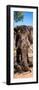 Awesome South Africa Collection Panoramic - Elephant Portrait-Philippe Hugonnard-Framed Photographic Print