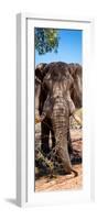 Awesome South Africa Collection Panoramic - Elephant Portrait-Philippe Hugonnard-Framed Photographic Print