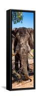 Awesome South Africa Collection Panoramic - Elephant Portrait-Philippe Hugonnard-Framed Stretched Canvas