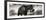 Awesome South Africa Collection Panoramic - Elephant Profile II-Philippe Hugonnard-Framed Premium Photographic Print