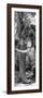 Awesome South Africa Collection Panoramic - Elephant Trunk B&W-Philippe Hugonnard-Framed Photographic Print