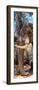 Awesome South Africa Collection Panoramic - Elephant Trunk-Philippe Hugonnard-Framed Photographic Print