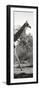 Awesome South Africa Collection Panoramic - Giraffe II-Philippe Hugonnard-Framed Photographic Print