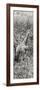 Awesome South Africa Collection Panoramic - Giraffe in Forest B&W-Philippe Hugonnard-Framed Photographic Print