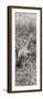 Awesome South Africa Collection Panoramic - Giraffe in Forest B&W-Philippe Hugonnard-Framed Photographic Print