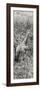 Awesome South Africa Collection Panoramic - Giraffe in Forest B&W-Philippe Hugonnard-Framed Photographic Print