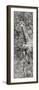 Awesome South Africa Collection Panoramic - Giraffe in Forest II B&W-Philippe Hugonnard-Framed Photographic Print