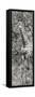 Awesome South Africa Collection Panoramic - Giraffe in Forest II B&W-Philippe Hugonnard-Framed Stretched Canvas