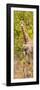 Awesome South Africa Collection Panoramic - Giraffe in Forest II-Philippe Hugonnard-Framed Photographic Print